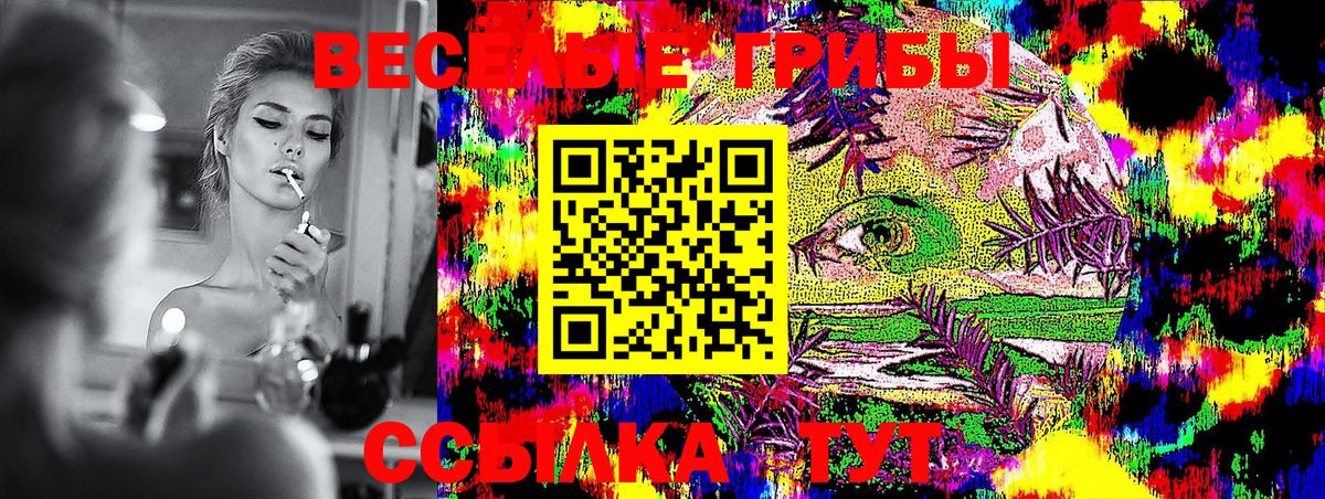 Псилоцибиновые грибы GOLDEN TEACHER  Вход с VPN  Псилоцибиновые грибы GOLDEN TEACHER  наркотики  Великий Новгород 
