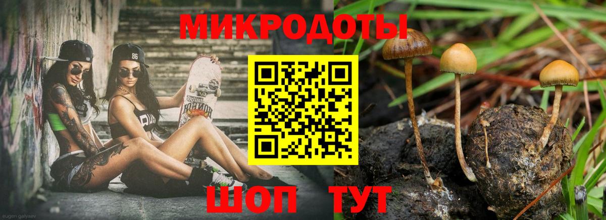 Галлюциногенные грибы GOLDEN TEACHER Великий Новгород